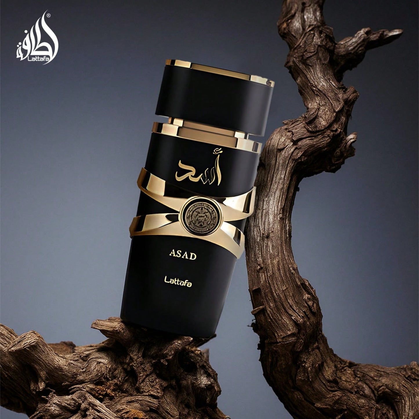 Lattafa Asad Eau De Parfum, 3.4 OZ/100ML, Christmas Gifts, New Year Gifts, Birthday Gifts, Long-Lasting Fragrance, Luxury Gifts, Gifts For Women, Suitable For All Occasions.