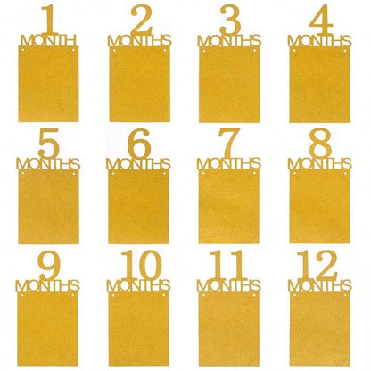 1pc Baby 1st Birthday Photo Banner, 1-12 Months Growth Record Photo Props, Birthday Party Decoration, Suitable For Birthday Party, Baby Shower, 1st Anniversary