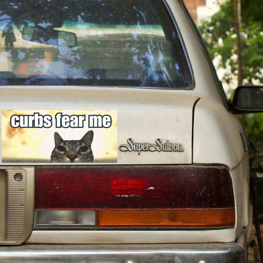 1PC "Curbs Fear Me" Funny Cat Meme Sticker, 7-Inch Waterproof Durable Vinyl Bumper Sticker For Cars, A & Aesthetic Decal For Laptop, Skateboard, Luggage, Motorcycle Window, Creative Gag Gift For New D