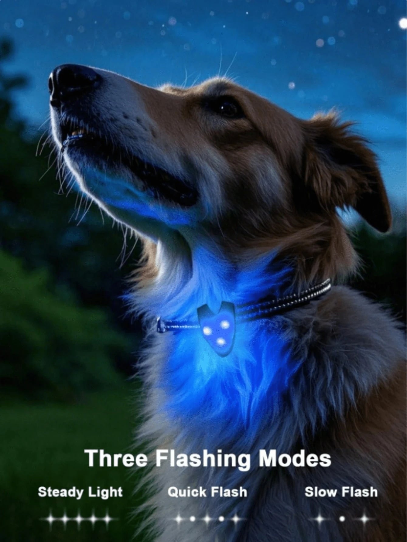 1pc LED Pet Pendant Collar, Dog Outdoor Walking Light, Silicone LED Dog Collar Tag Light, Night Safety Decor, Battery Included