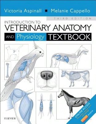 Amt Phlebotomy Exam Secrets Study Guide: Phlebotomy Test Review For The Amt's Registered Phlebotomy (Paperback) By Mometrix Phlebotomy Certification Test Team (Editor)