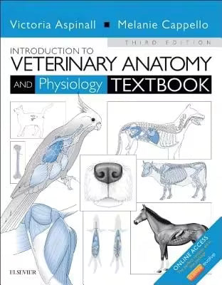 Amt Phlebotomy Exam Secrets Study Guide: Phlebotomy Test Review For The Amt's Registered Phlebotomy (Paperback) By Mometrix Phlebotomy Certification Test Team (Editor)