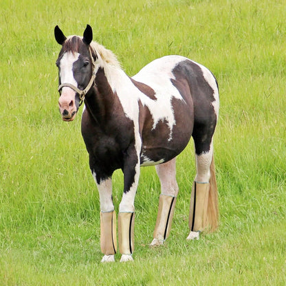 Elastic Bottom Edge, Fly And Insect Protection, Very Comfortable, Prevents Trampling: Horse Leg Fly Boots With Fine Mesh Provide Protection, Reducing Continuous Trampling Of Horses, Suitable For Use I