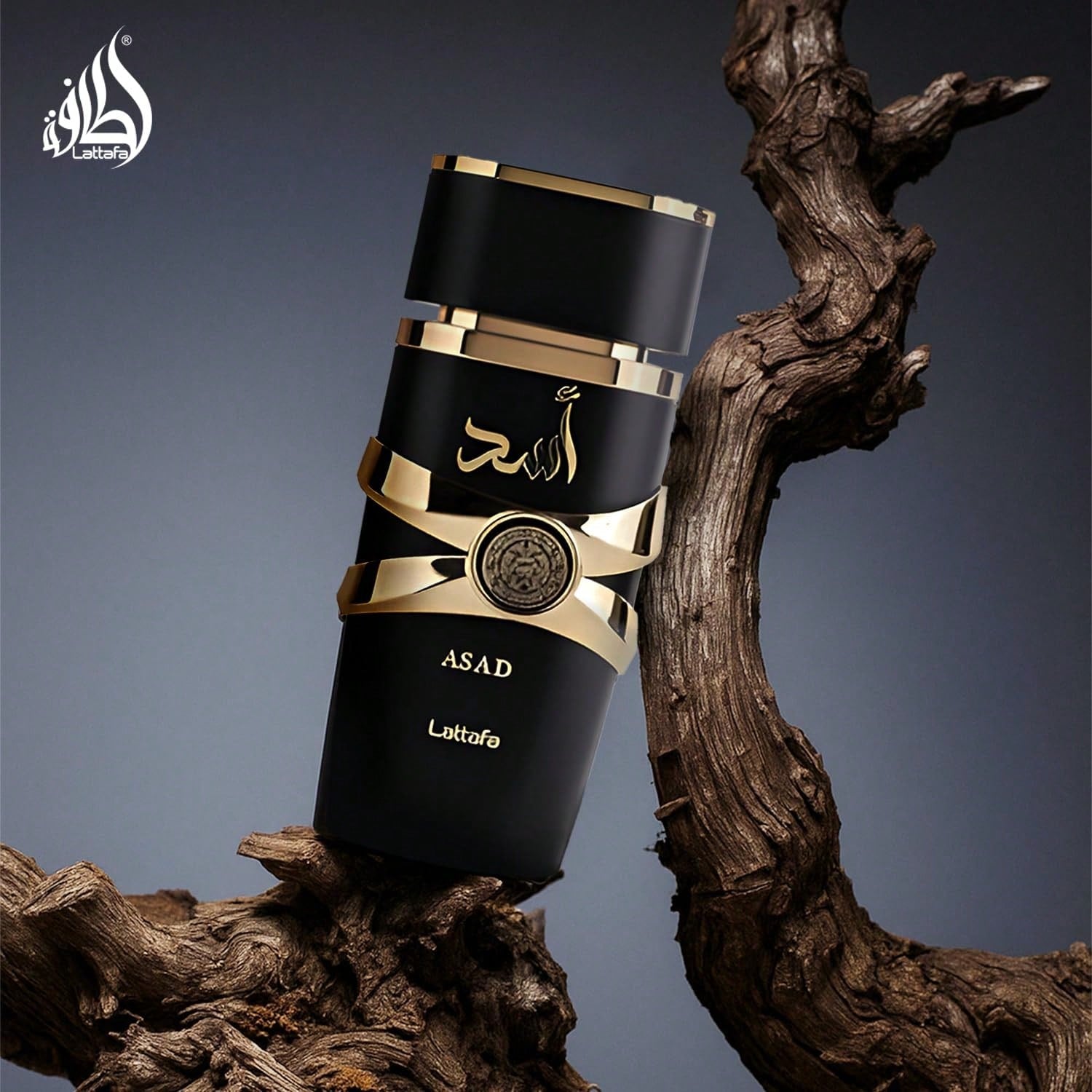 Lattafa Asad Eau De Parfum, 3.4 OZ/100ML, Christmas Gifts, New Year Gifts, Birthday Gifts, Long-Lasting Fragrance, Luxury Gifts, Gifts For Women, Suitable For All Occasions.