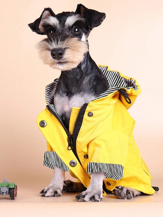PETSIN 1pc Striped Pet Raincoat, Rainbow Striped