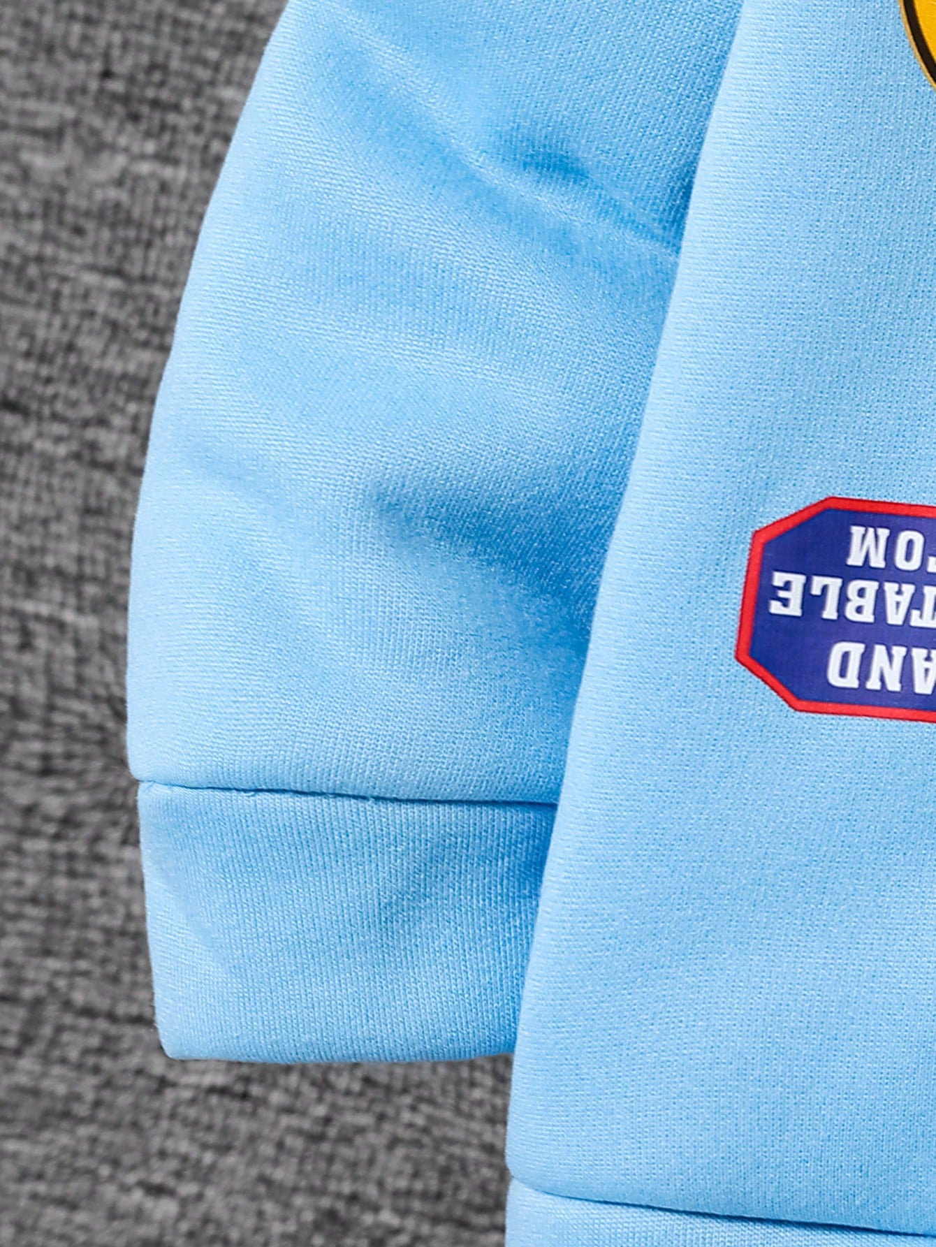 Playful Pals Toddler Boys'Hoodie Set Baby Blue Winter Cute Modest Date Furry Collar Hooded Top Embossed Chest Matching Casual Pants Baby Boy Tracksuit Versatile