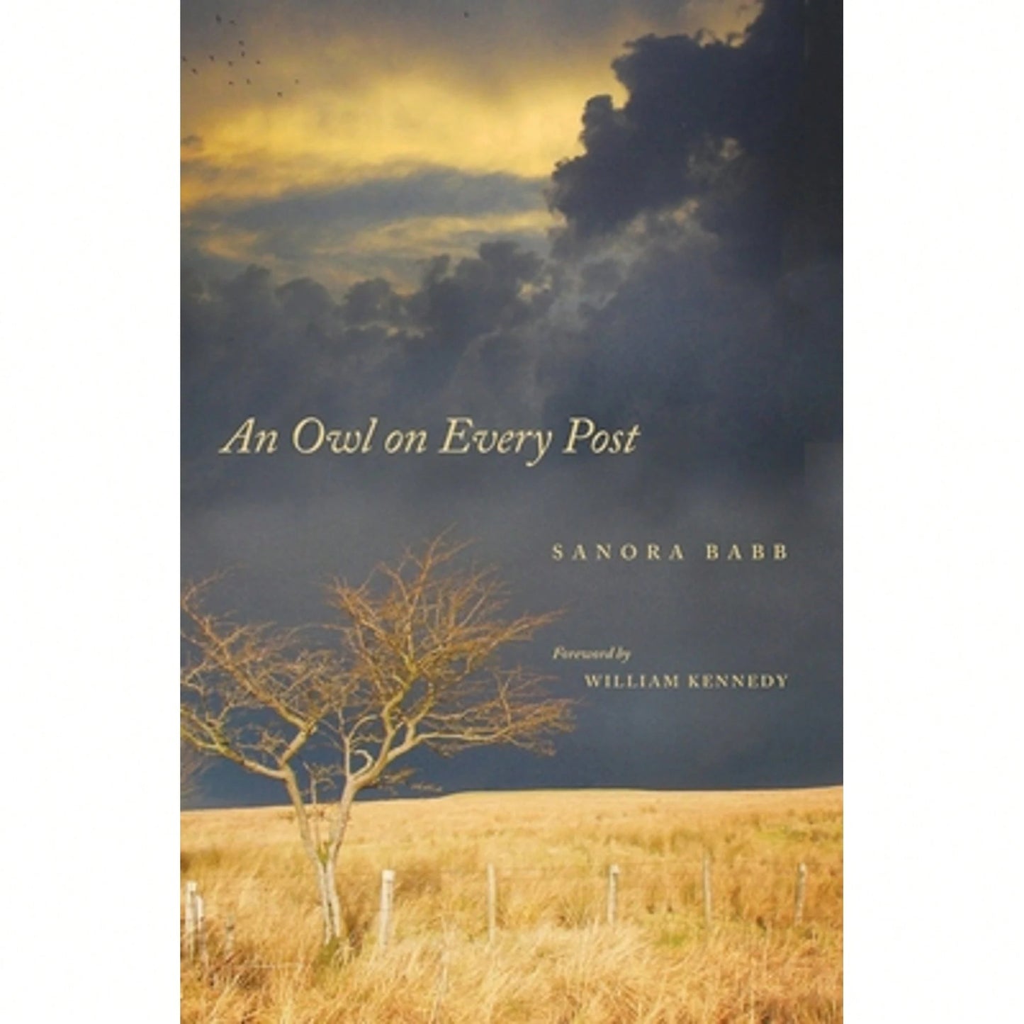 Pre-Owned An Owl On Every Post (Paperback) By Sanora Babb, Professor William Kennedy