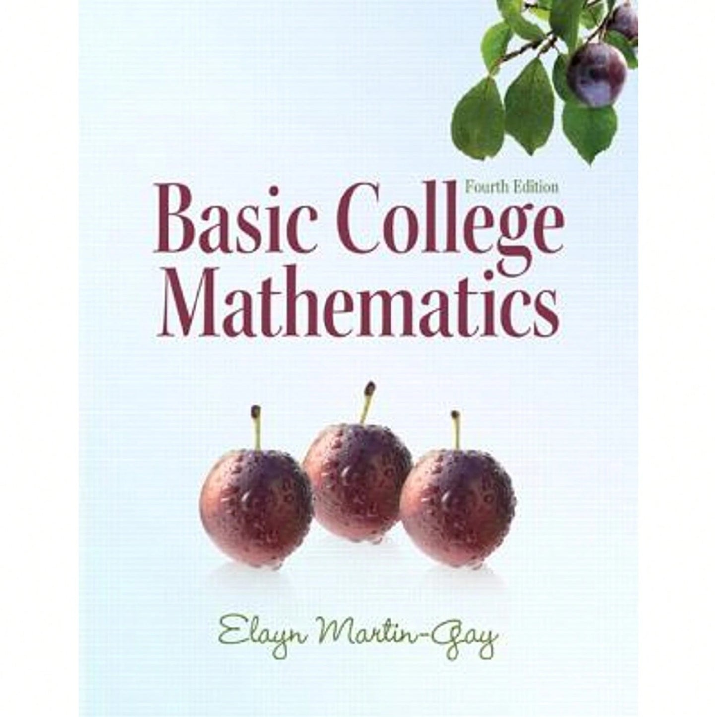 Pre-Owned Basic College Mathematics (Paperback) By Elayn Martin-Gay