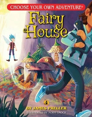 Pre-Owned Fairy House (Paperback) By James Preller