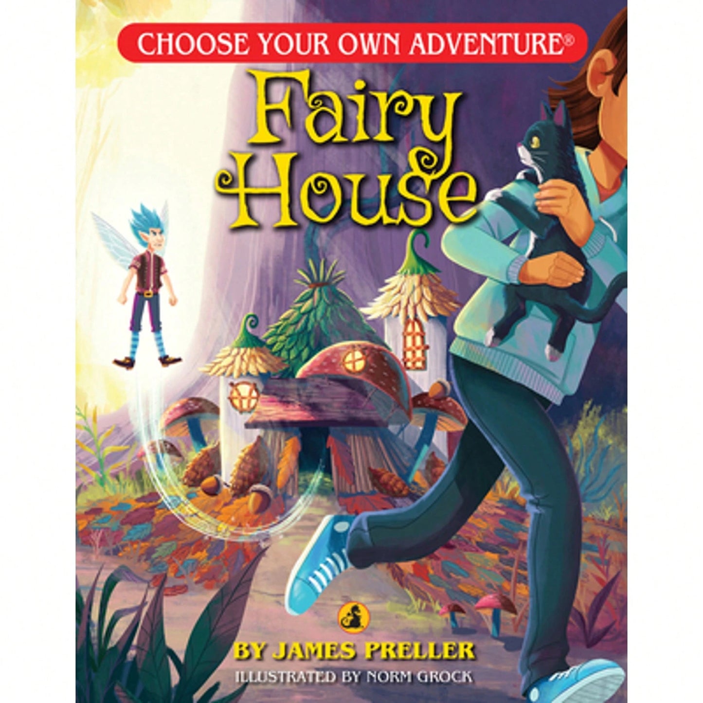 Pre-Owned Fairy House (Paperback) By James Preller