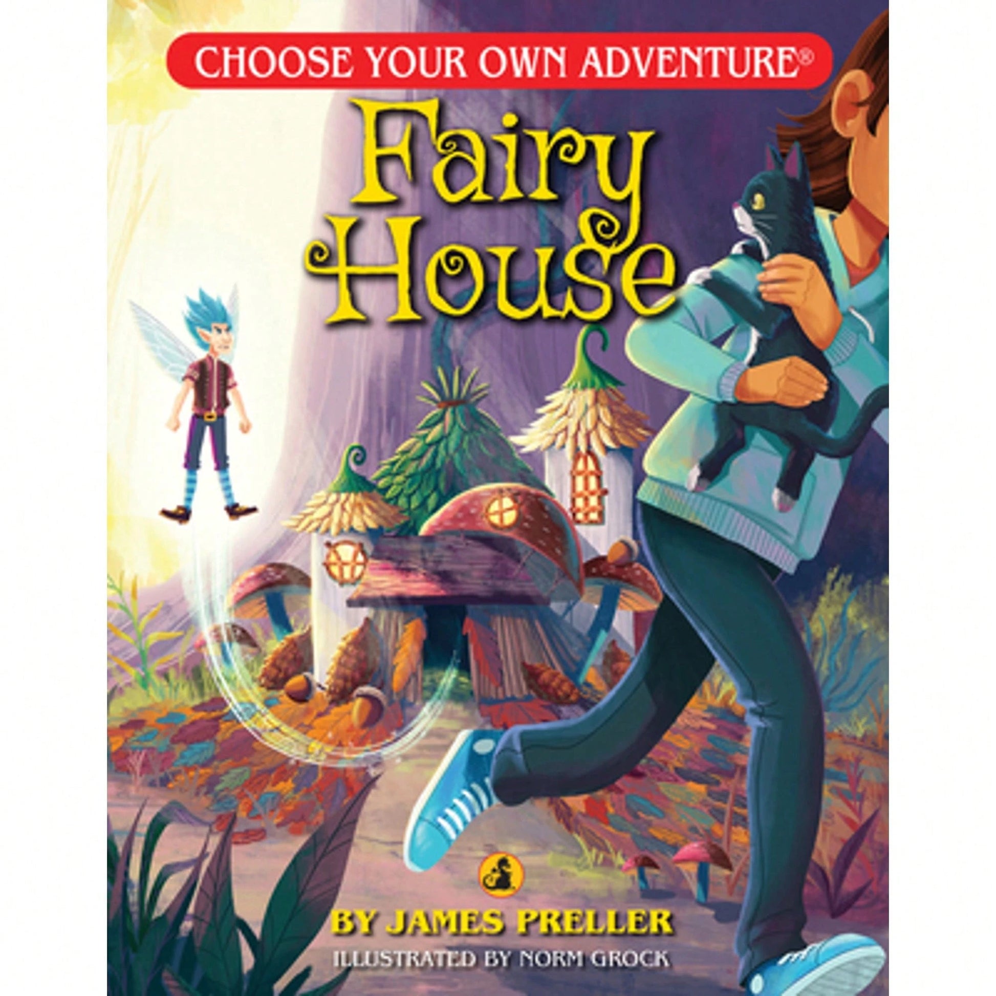 Pre-Owned Fairy House (Paperback) By James Preller