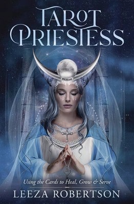 Pre-Owned Gypsy Wisdom, Spells, Charms And Folklore (Paperback) By Denise Alvarado