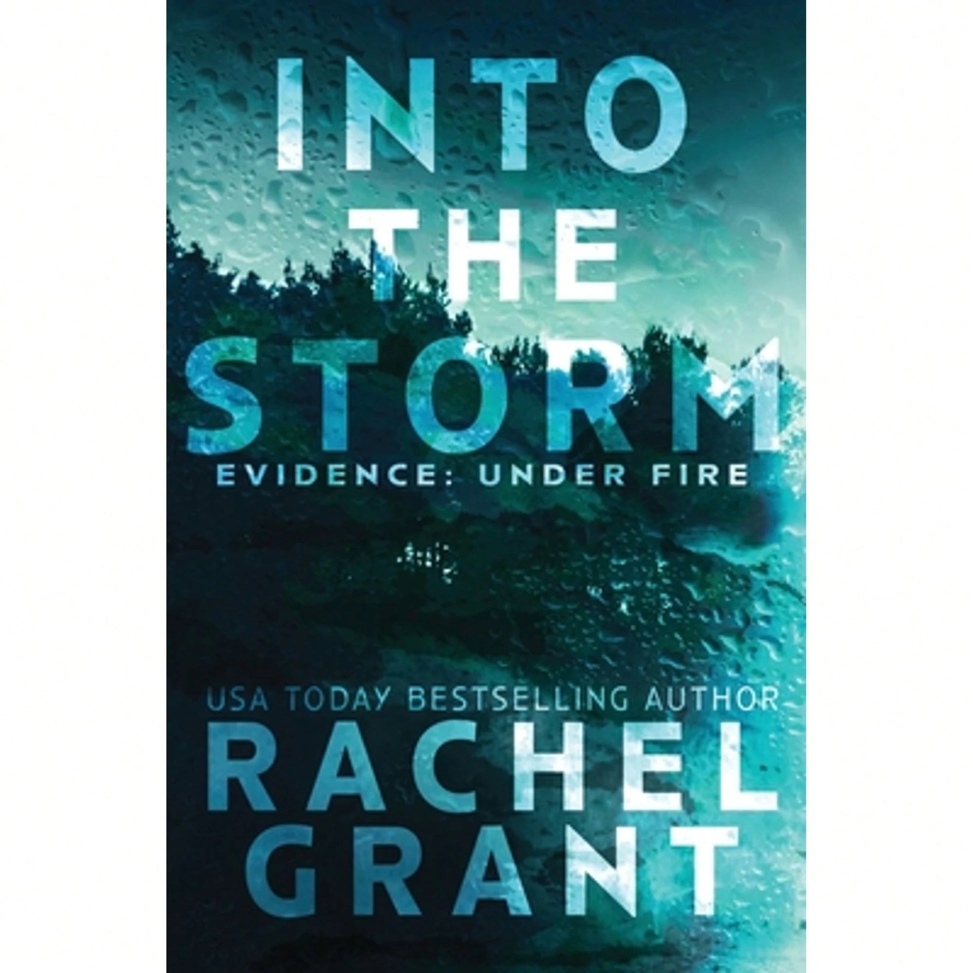 Pre-Owned Into The Storm (Paperback) By Rachel Grant