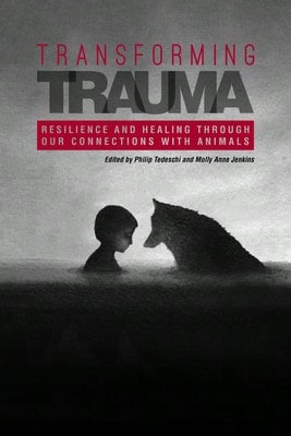 Pre-Owned Sex, Sexuality And Therapeutic Practice: A Manual For Therapists And Trainers (Paperback) By Catherine Butler, Amanda O'Donovan, Elizabeth Shaw