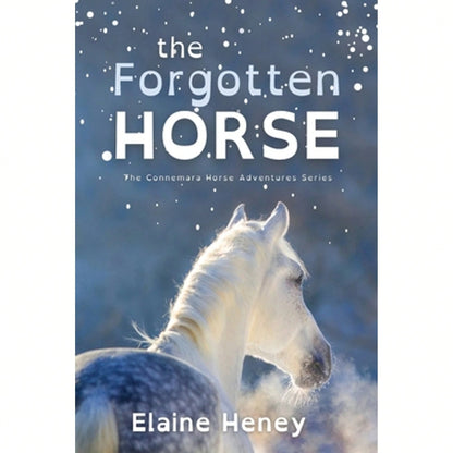 Pre-Owned The Forgotten Horse- Dyslexia Friendly (Paperback) By Elaine Heney