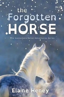 Pre-Owned The Forgotten Horse- Dyslexia Friendly (Paperback) By Elaine Heney