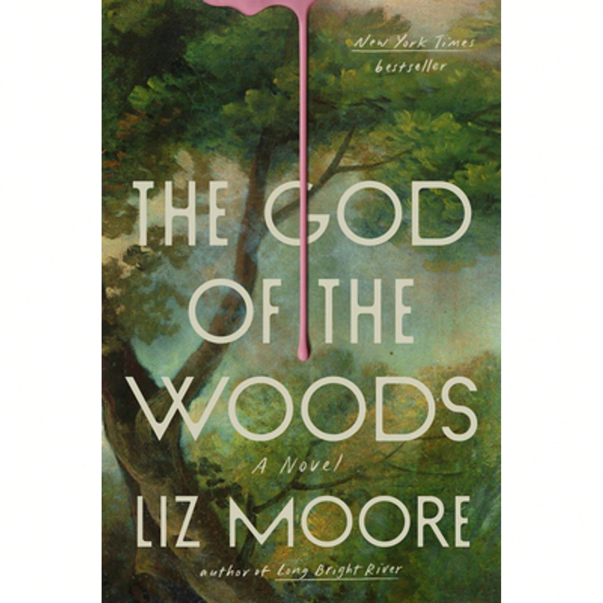 Pre-Owned The God Of The Woods (Hardcover) By Liz Moore