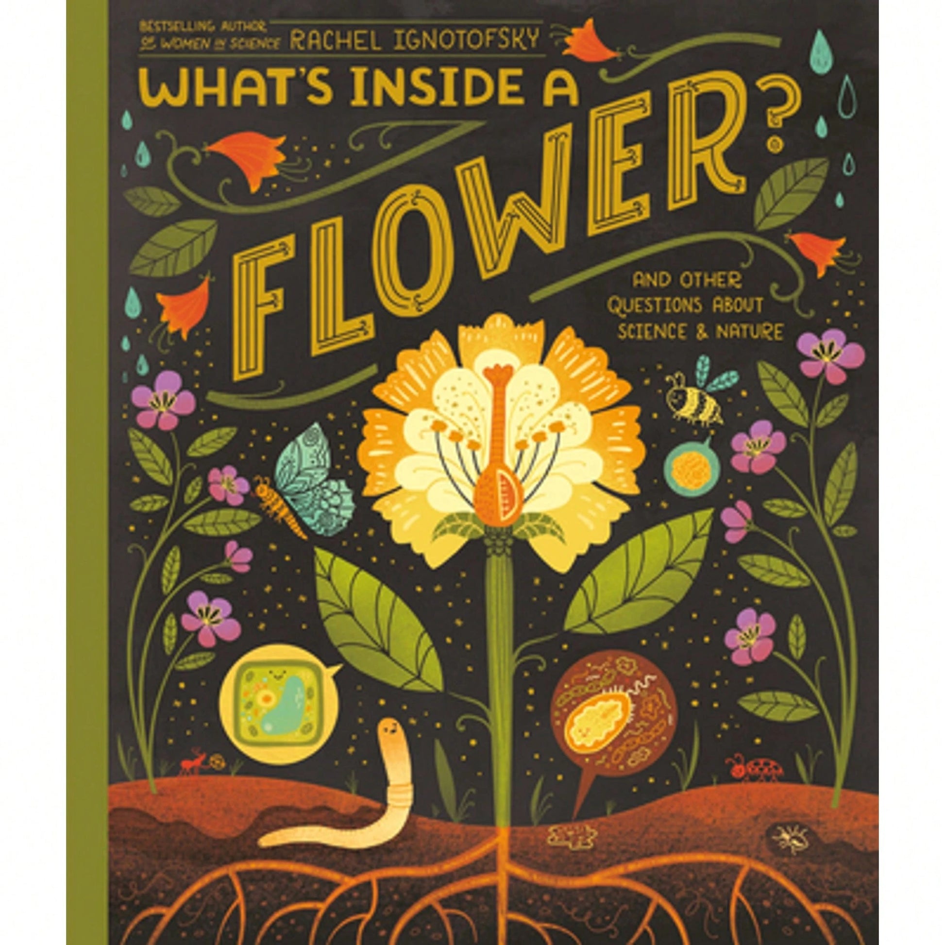 Pre-Owned What's Inside A Flower?: And Other Questions About Science & Nature (Hardcover) By Rachel Ignotofsky