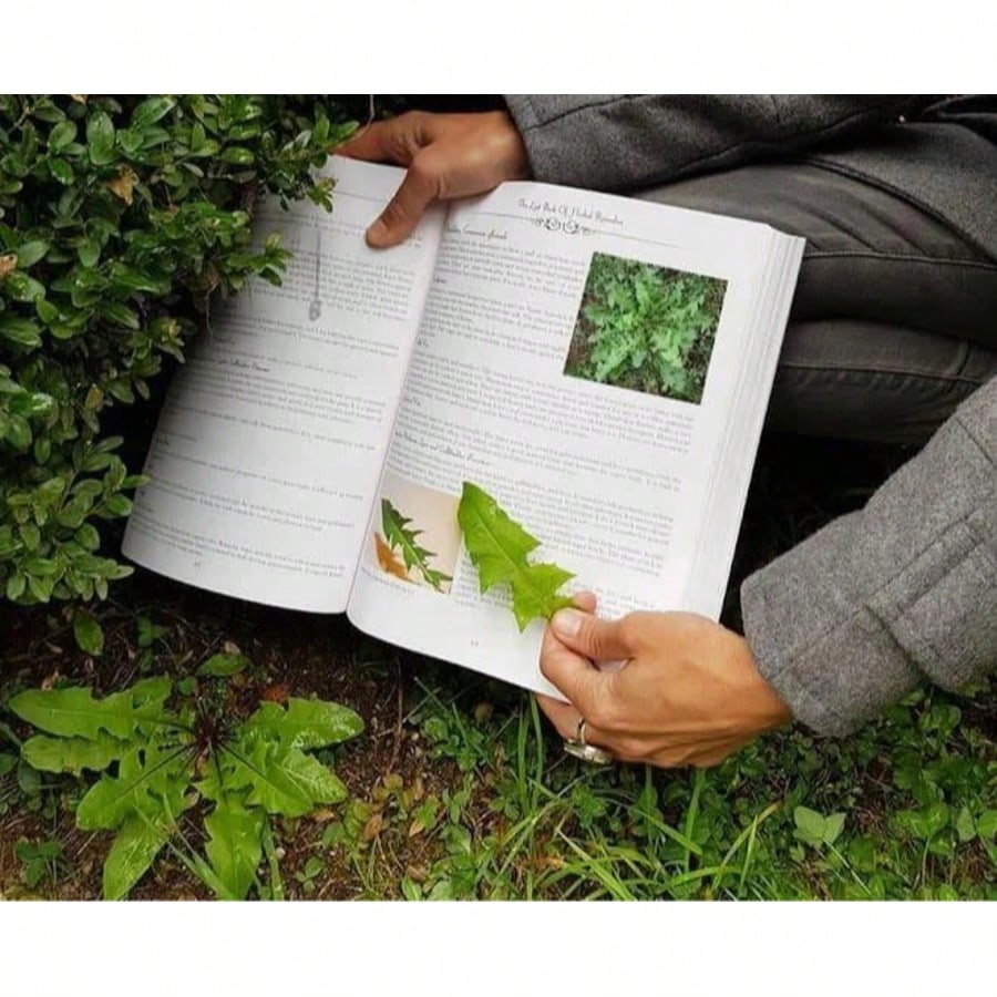 The Healing Power Of Plant Medicine Paperback Colored Inner Pages For Friends Family Herbal Remedies II