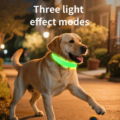 Vizpet LED Dog Collar, Glowing Dog Collar, Adjustable USB Rechargeable Super Bright Safety Luminous Collar, Pet Glow Collar, Night Safety Flashing Dog Collar, Adjustable